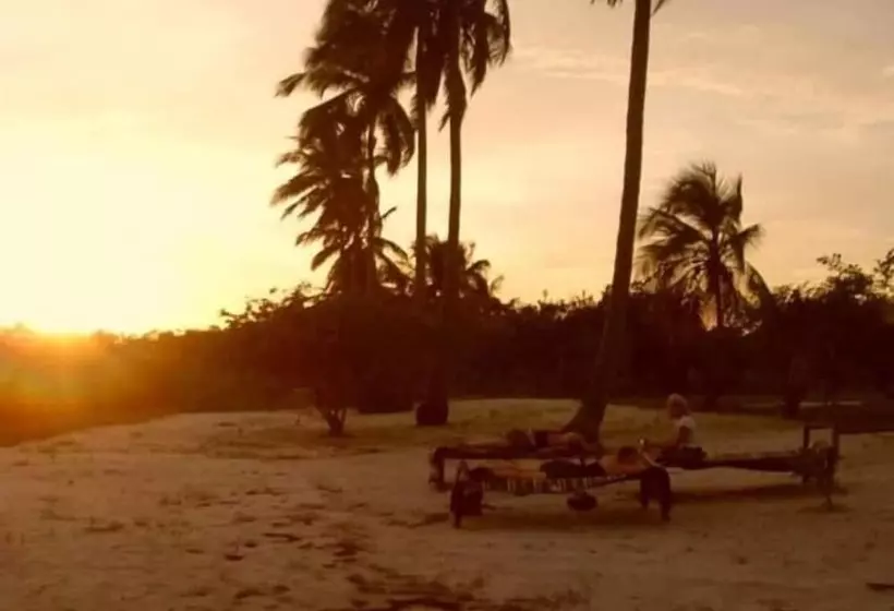 تختخواب و صبحانه Mangrove Beach Bungalows