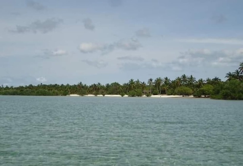 تختخواب و صبحانه Mangrove Beach Bungalows