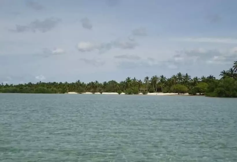 تختخواب و صبحانه Mangrove Beach Bungalows