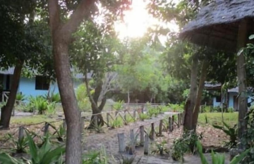 تختخواب و صبحانه Mangrove Beach Bungalows