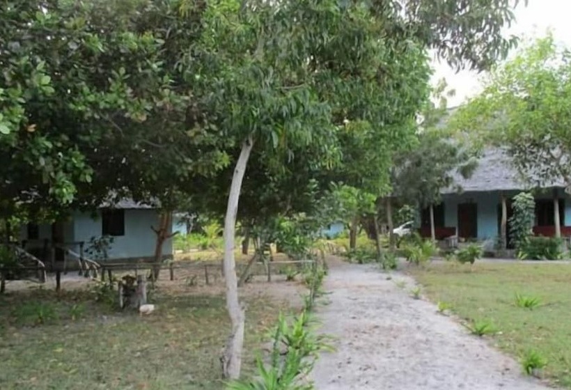 تختخواب و صبحانه Mangrove Beach Bungalows