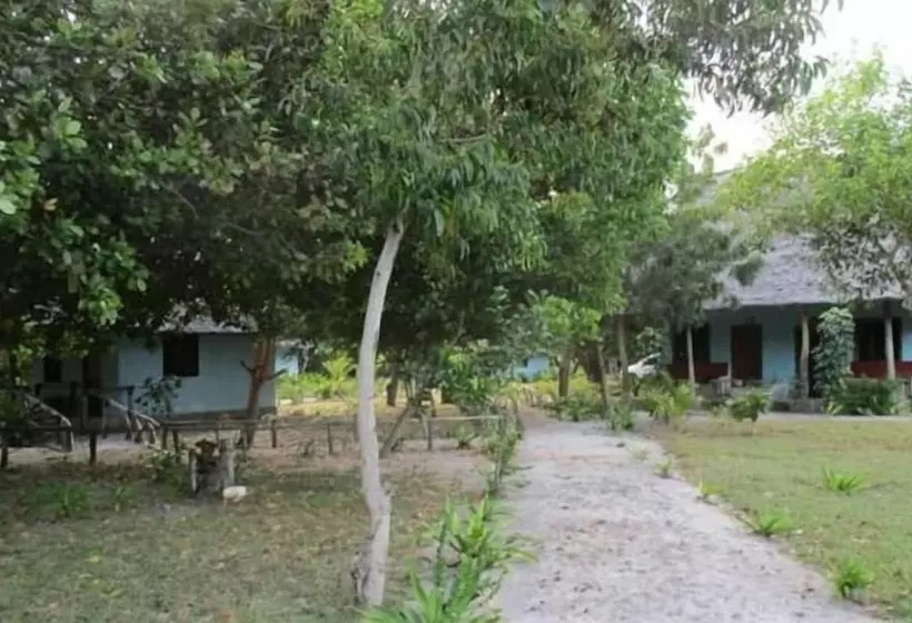تختخواب و صبحانه Mangrove Beach Bungalows