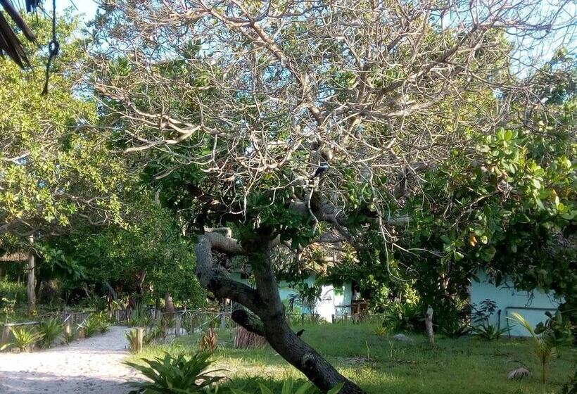 تختخواب و صبحانه Mangrove Beach Bungalows