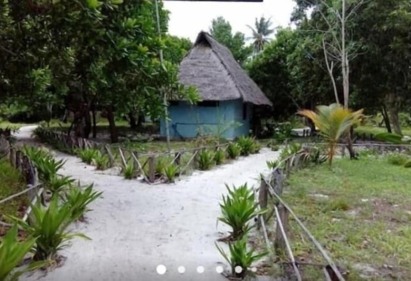تختخواب و صبحانه Mangrove Beach Bungalows