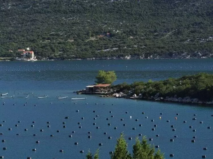 ペンション Fox Apartments