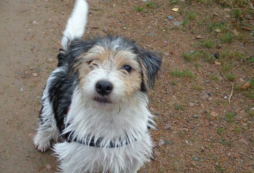 Målerås Vandrarhem B&b