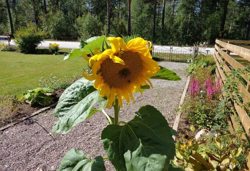 Målerås Vandrarhem B&b