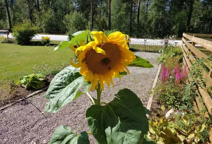 Målerås Vandrarhem B&b