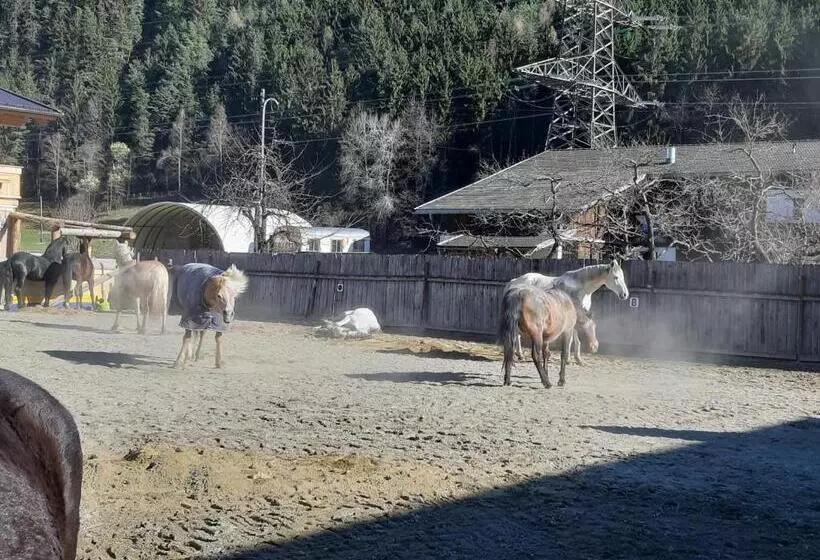B&b Margit S Ranch Urlaub Am Pferdehof