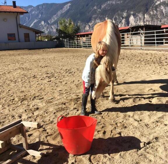 B&b Margit S Ranch Urlaub Am Pferdehof