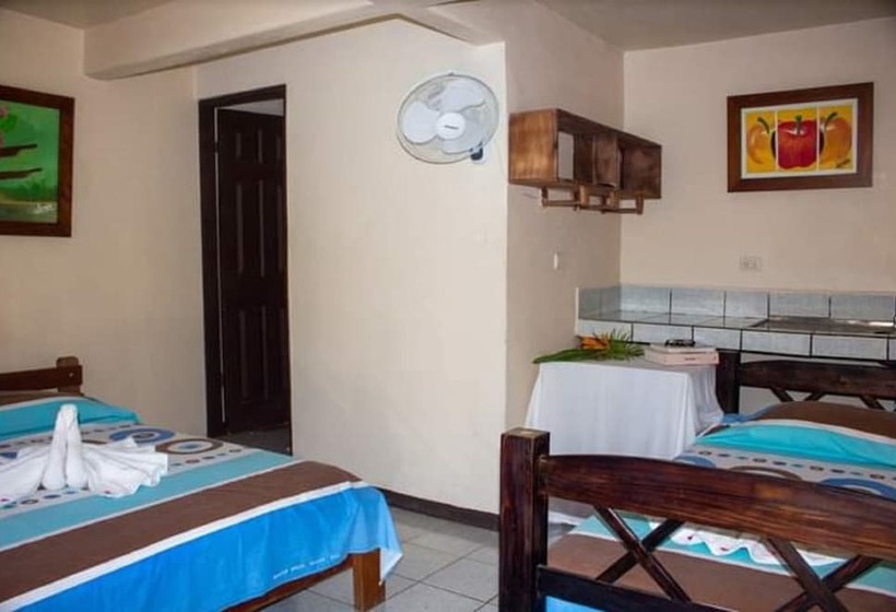 Отель Cabinas Bachelor