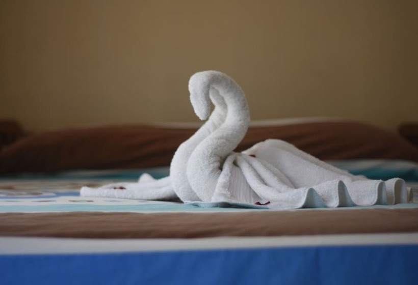 Отель Cabinas Bachelor