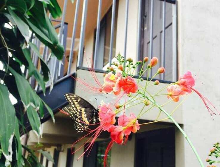 Отель Cabinas Bachelor