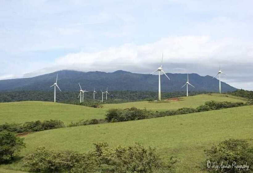 Отель Cabinas Bachelor