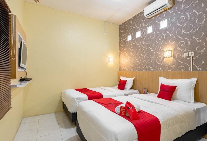 Pension Reddoorz Near Dino Park