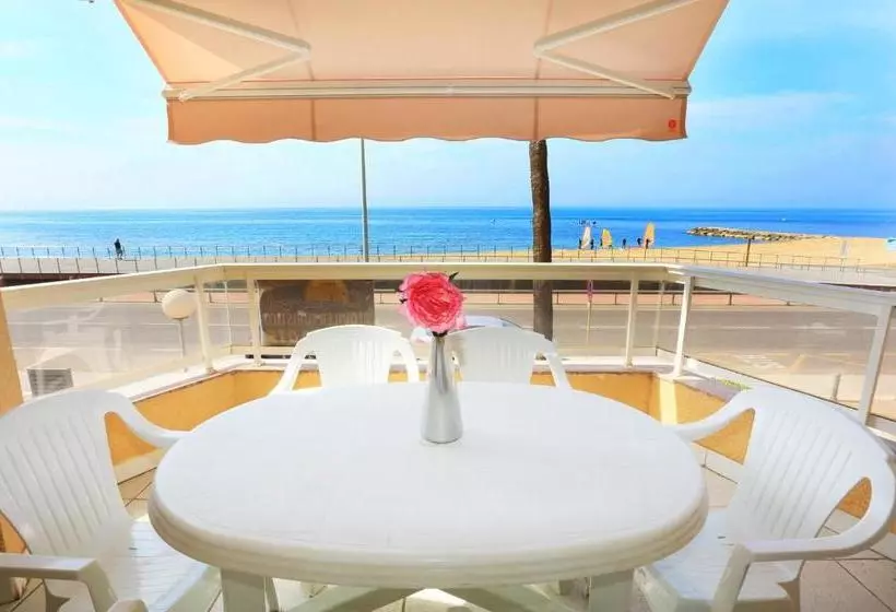 Austral Only Families