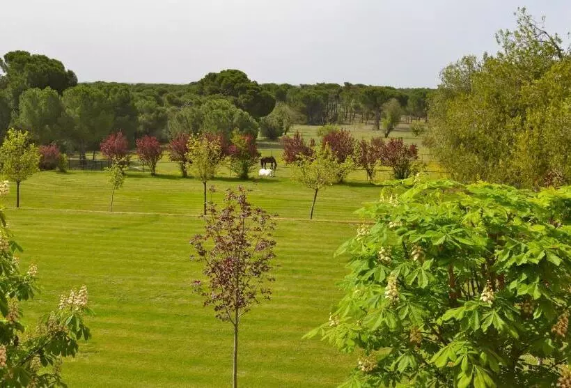 Отель Posada Real Del Pinar