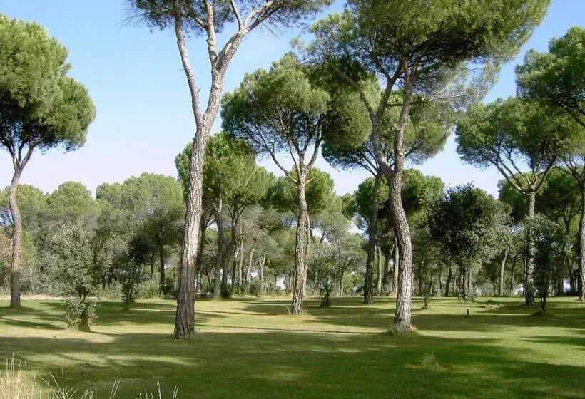 Отель Posada Real Del Pinar