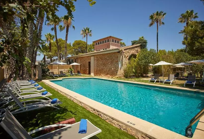 فندق ريفى Virrey Finca