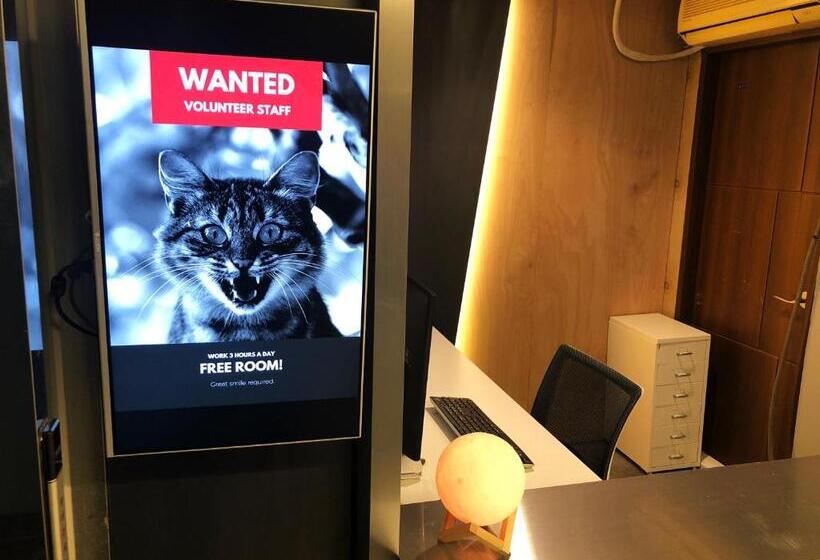 Pensione Apollo Guesthouse