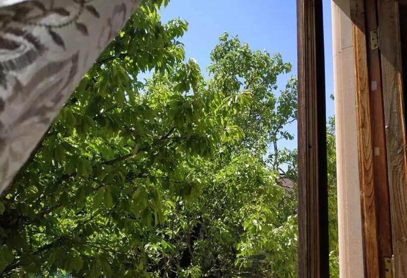 پانسیون сибиряк