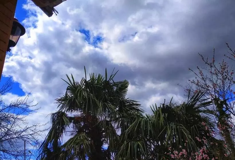 پانسیون сибиряк