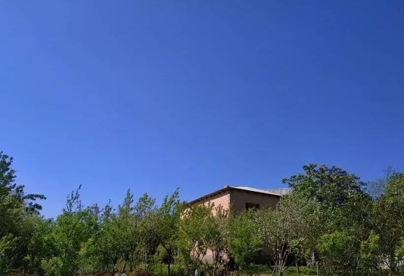 پانسیون сибиряк