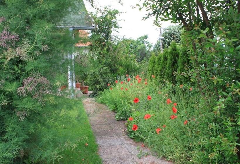 پانسیون Boulevard Garden House   Free And Save Parking In The Yard