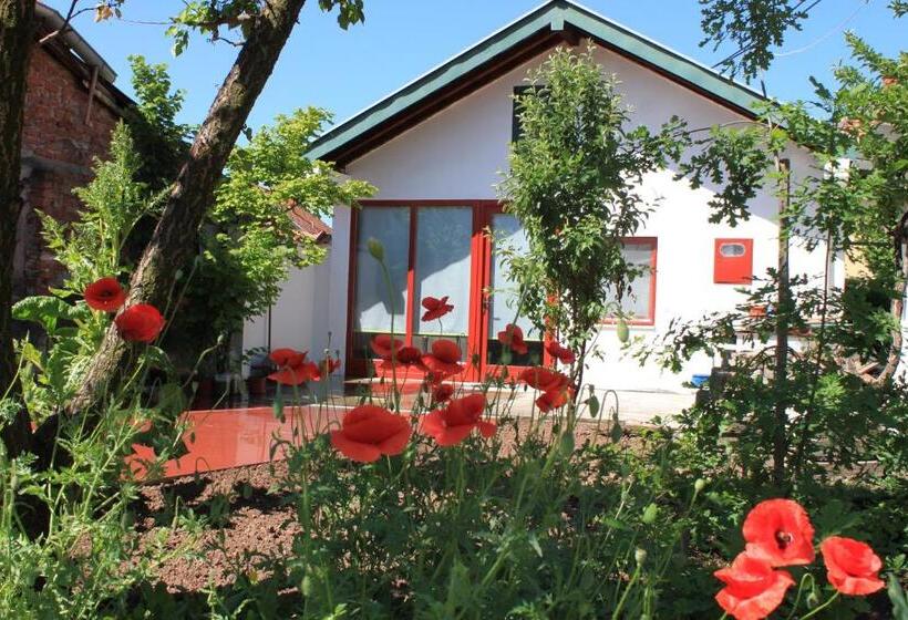 پانسیون Boulevard Garden House   Free And Save Parking In The Yard