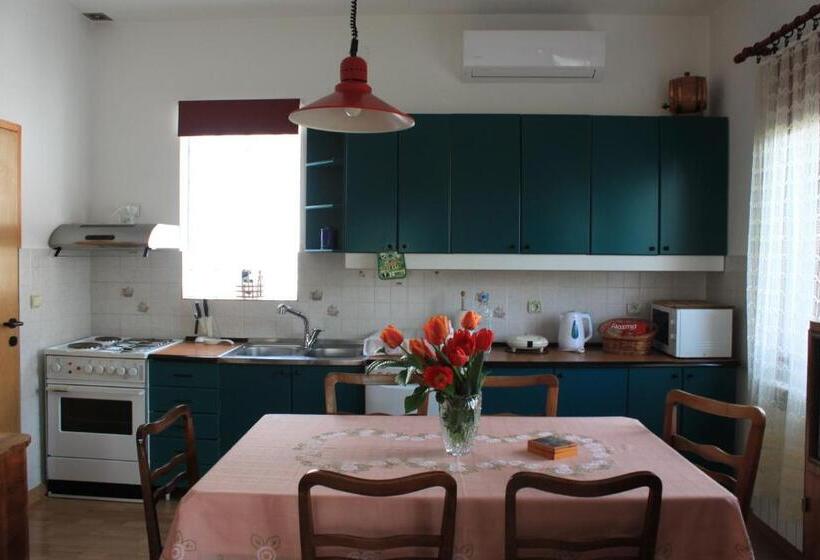 پانسیون Boulevard Garden House   Free And Save Parking In The Yard