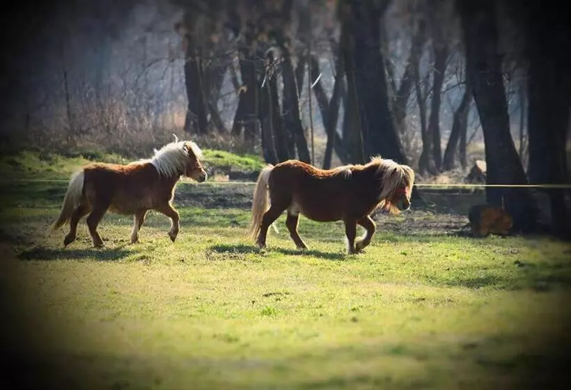 ペンション Fantanita Craiesei
