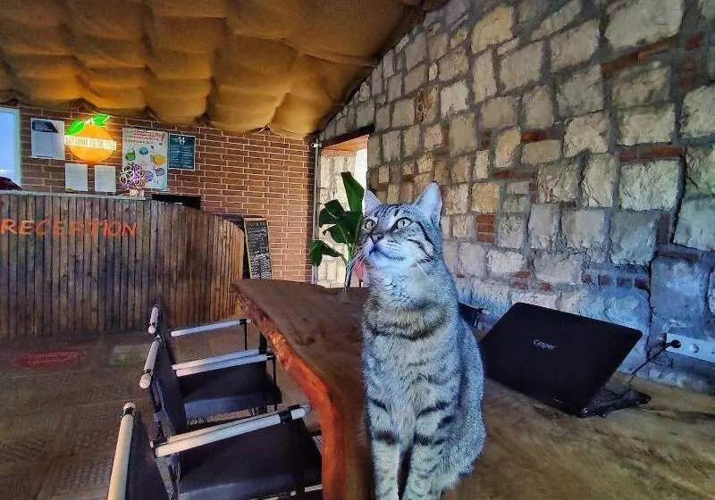 Satsuma Butik Otel