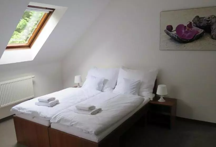 ペンション Penzion Lapáš U Hoffera