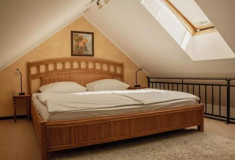 črni Baron Pension Black Baron