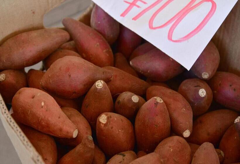 ריוקאן Jyokiya