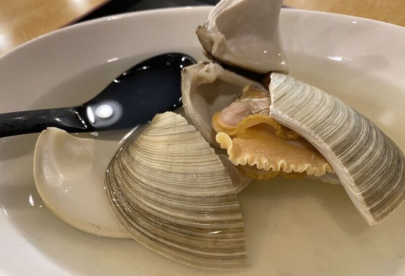 ריוקאן Jyokiya