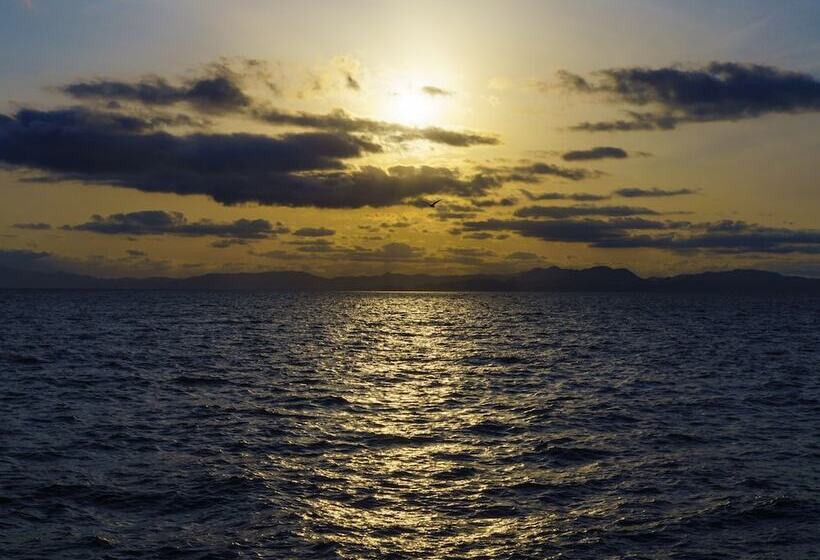 ריוקאן Jyokiya