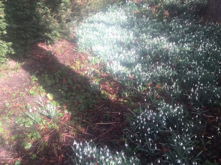 ベッドアンドブレックファースト Les Marronniers