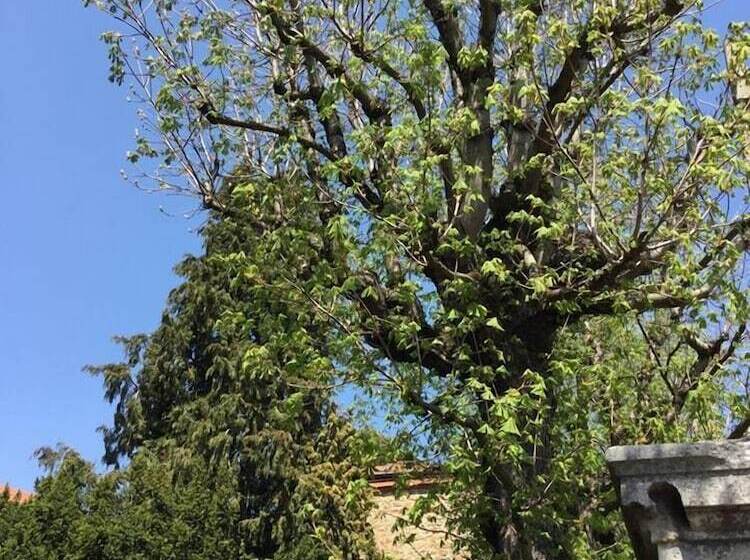 ベッドアンドブレックファースト Les Marronniers