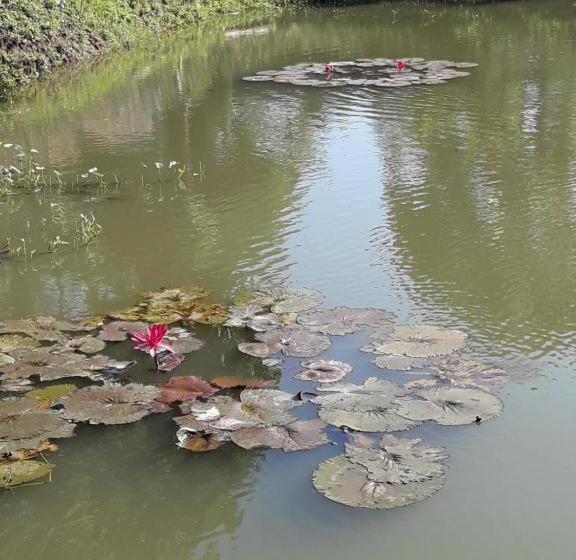 פנסיון Oyo Ban Thassanee