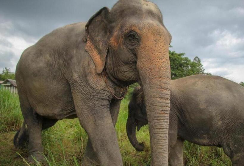 פנסיון Oyo Ban Thassanee