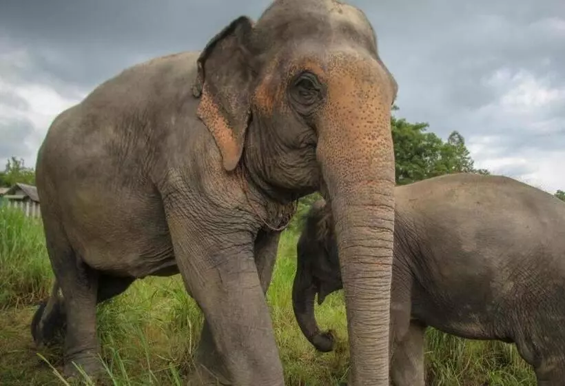 Majatalo Oyo Ban Thassanee