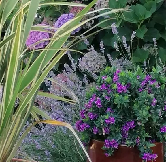 Aamiaismajoitus (B&B) La Tour Du Bois Dormant