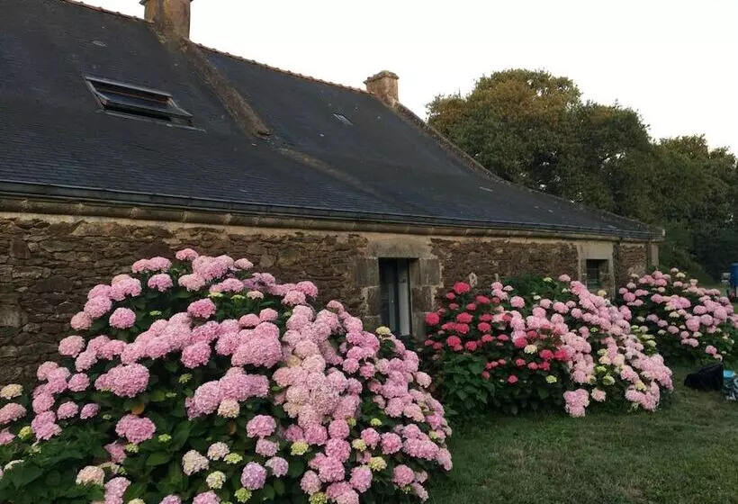 ベッドアンドブレックファースト Domaine De Lesty   Chambre D Hôtes