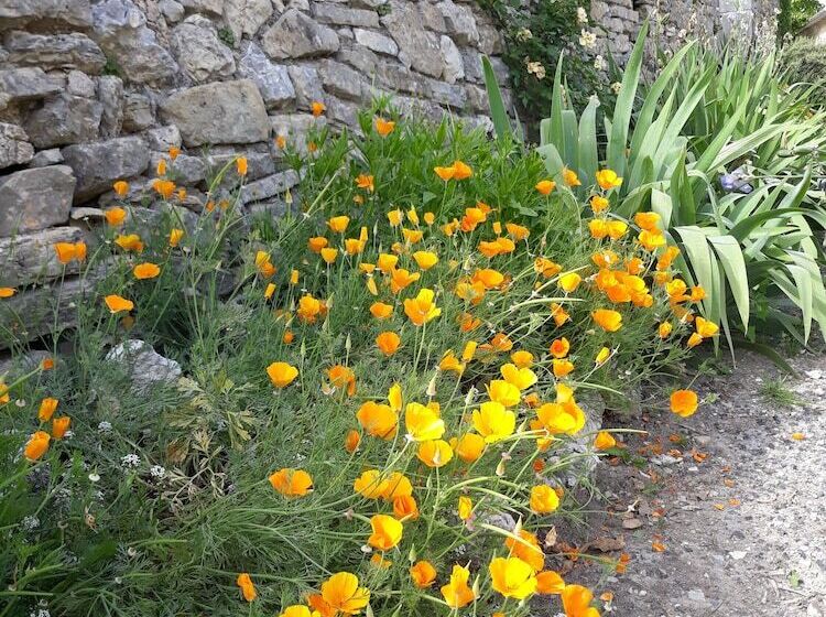 צימר Maison D Hôtes Mas De La Chadenede