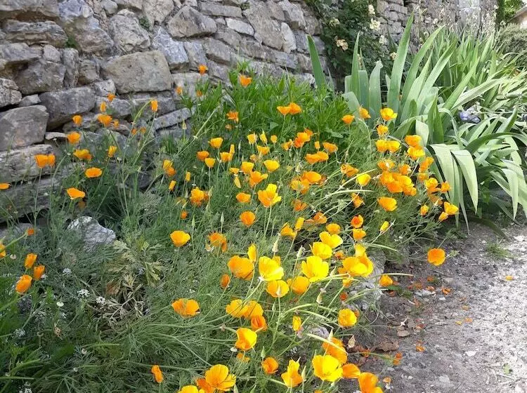 Aamiaismajoitus (B&B) Maison D Hôtes Mas De La Chadenede