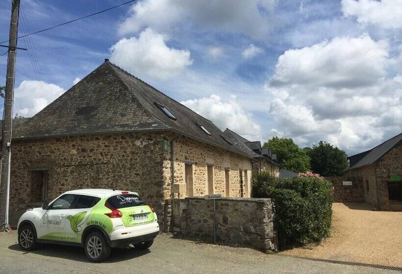 Domaine Des Mille Oiseaux   Colibris