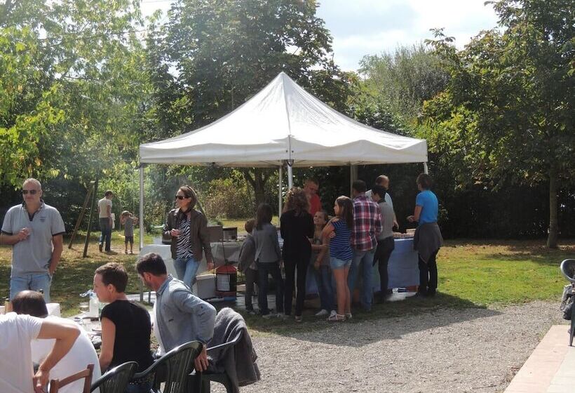 Domaine Des Mille Oiseaux   Colibris