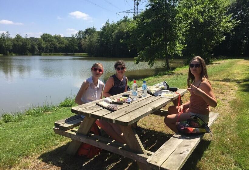 Domaine Des Mille Oiseaux   Colibris