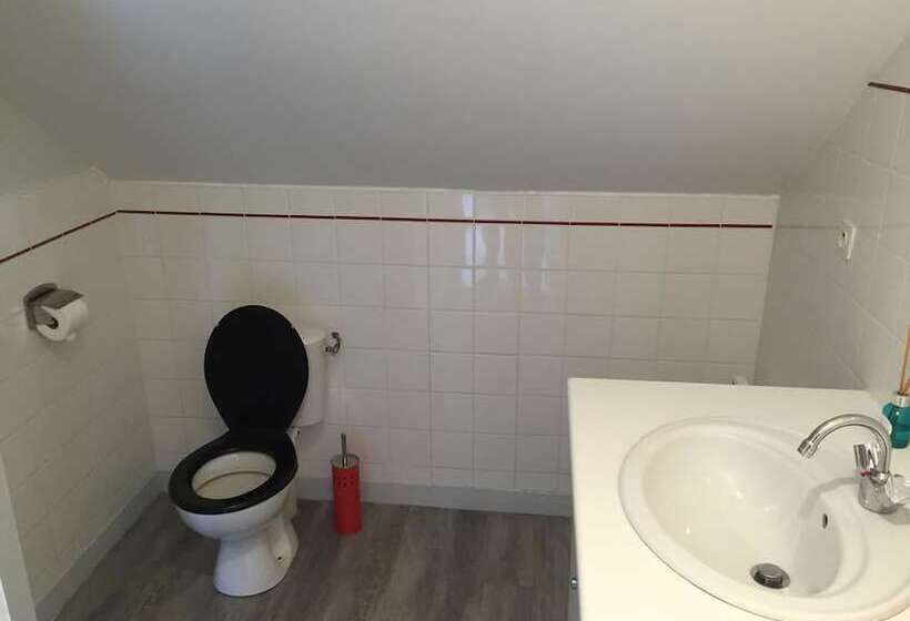 Domaine Des Mille Oiseaux   Colibris